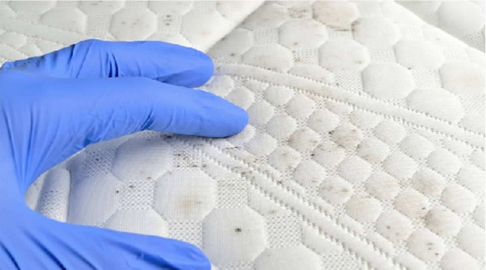 Nguyên nhân và 3+ cách khử mùi hôi cho nệm hiệu quả nhất 1 Hiểu rõ từng vấn đề của nệm để có cách khử mùi hôi cho nệm hiệu quả