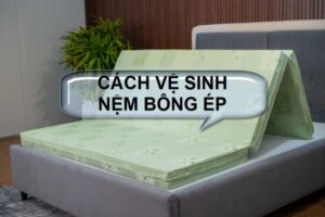 Cách vệ sinh nệm bông ép