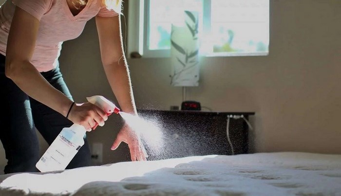 Cách xử lý nệm bị dính máu hiệu quả bạn không nên bỏ qua là dùng chất tẩy rửa chuyên dụng