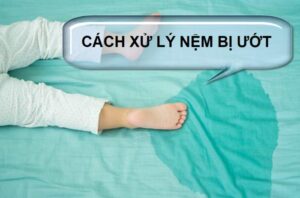 Cách xử lý nệm bị ướt
