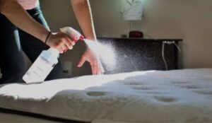 Dung dịch vệ sinh nệm loại nào tốt