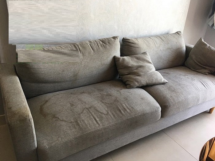 Xử lý ghế sofa bị mốc đơn giản, nhanh chỉ trong 1 phút 1 Ghế sofa bị mốc là tình trạng thường xuyên gặp phải