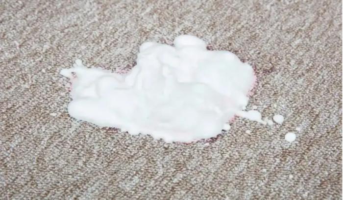 Cách làm sạch vết nôn trên thảm hiệu quả nhanh chóng 2 Hướng dẫn cách xử lý khi nôn ói trên thảm kịp thời