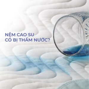 Nệm cao su có thấm nước không?