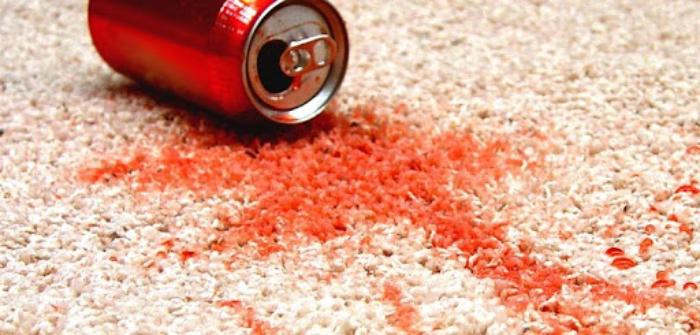 Làm sạch đồ ăn bám trên thảm trải sàn nhanh chóng, hiệu quả 1 Tác hại của việc đồ ăn bám trên thảm trải sàn